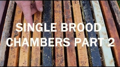 Single Brood Chambers - Fall and Winter