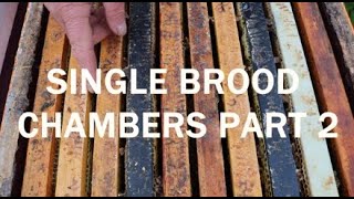 Single Brood Chambers - Fall and Winter