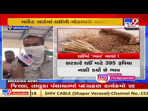 Sabarkantha: Farmers happy over getting fair prices of wheat in Himmatnagar | TV9News