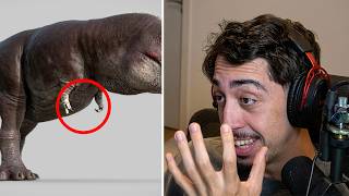 pra que serve o braço do trex?