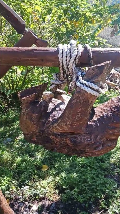 ritual panggang babi.