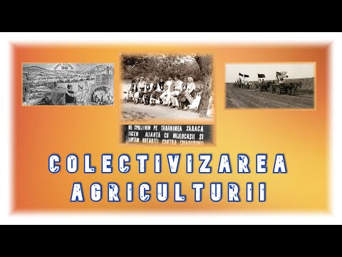 Video: Cum s-a dovedit folositoare descoperirii agriculturii omului timpuriu?