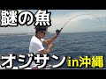 ＃１　沖縄の謎の魚オジサンを釣る！！
