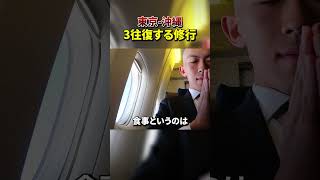 【SFC修行】東京沖縄を3往復してみた!