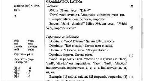 Lingua - 4.G - Reading Tutorial