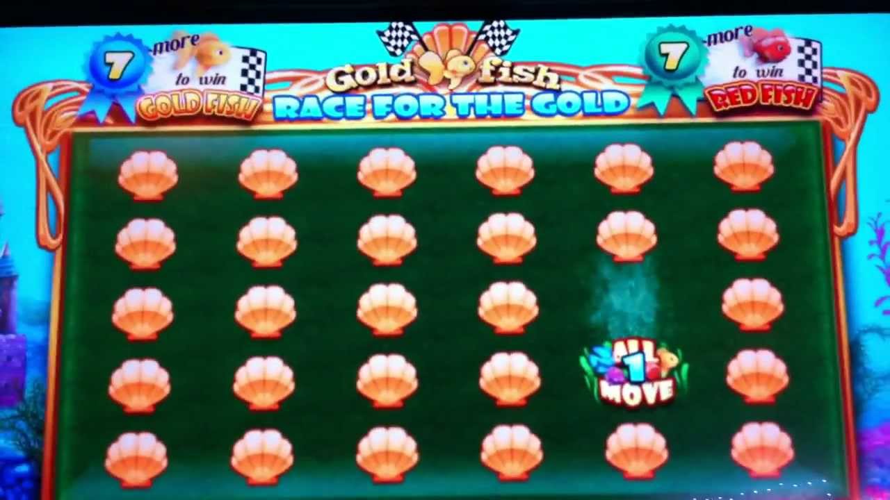 Goldfish Race For The Gold Slot - Racing Bonus Game - YouTube