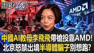 中國「AI教母」李飛飛帶槍投靠AMD! 北京擴大AI人才境管「半導體騙子」全家都別想跑!?【關鍵時刻】20260929-4