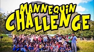 Mannequin Challenge - Scout Camp.