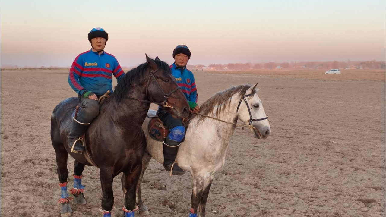 Бишкек Чон Алайдын улагы 15.11.2025