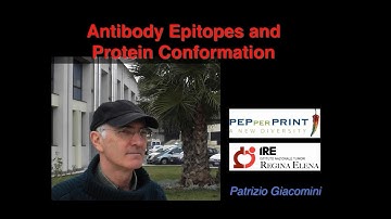 Webinar: Antibody Epitopes and Protein Conformation