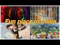 FUN PLACES TO VISIT IN CHINA || EPISODE 3 || QIANLIN MOUNTAIN PARK || GUIYANG CITY,GUIZHOU