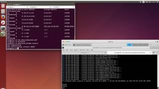 Celebrity How to prevent Samba (CVE-2017-7494) Net Worth