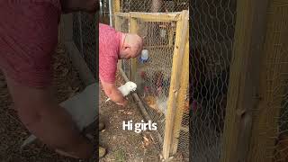 Dads home! Surprise..visits chickens, trampoline time & Earl keeps it classy when he meets the hens