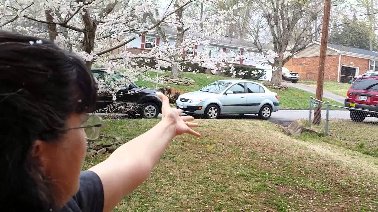 autism quotes Becky Jean 2014 weather report