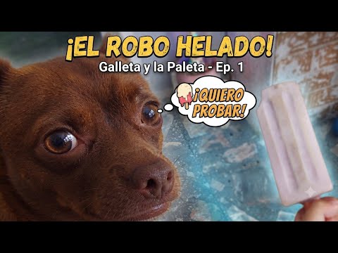 ​Un Antojo Perruno🍧: Galleta y la Paleta EP. 1 El Robo Helado 🐾🫶🐶 | @Galltita2