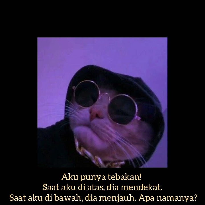 dj gani gani-story wa#storywa30detik