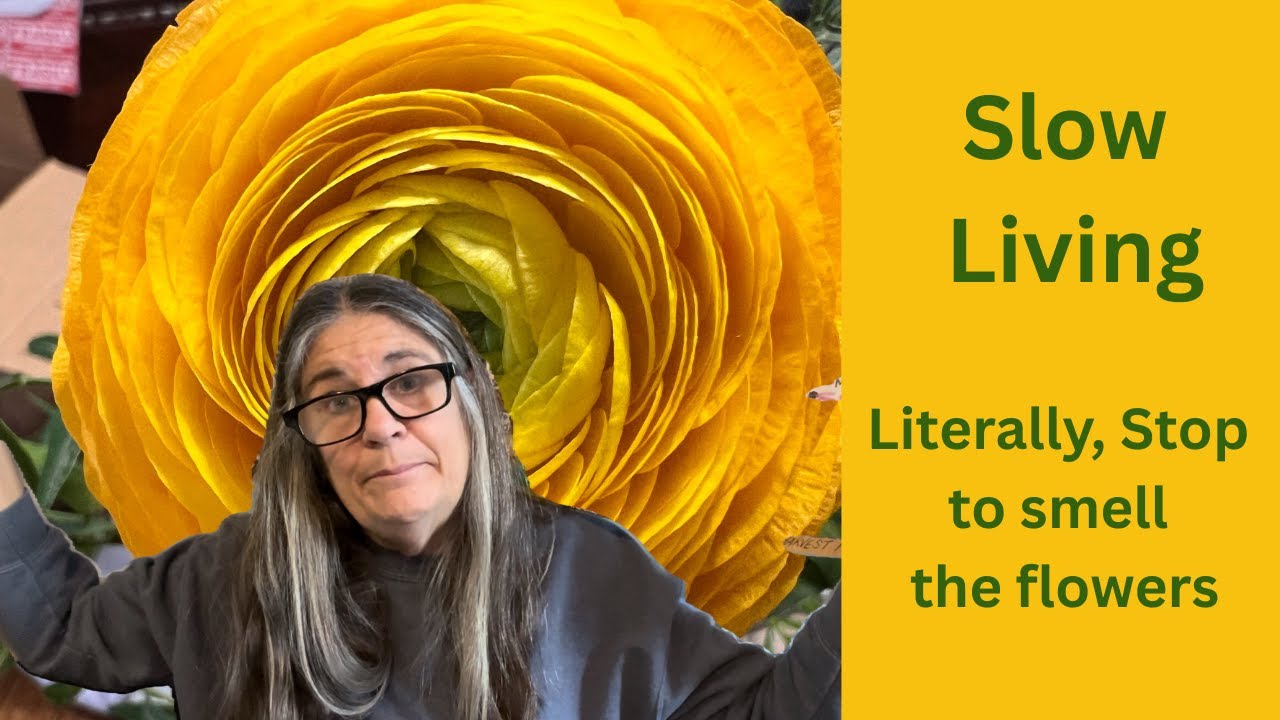 Learning How to Live a Slow Life