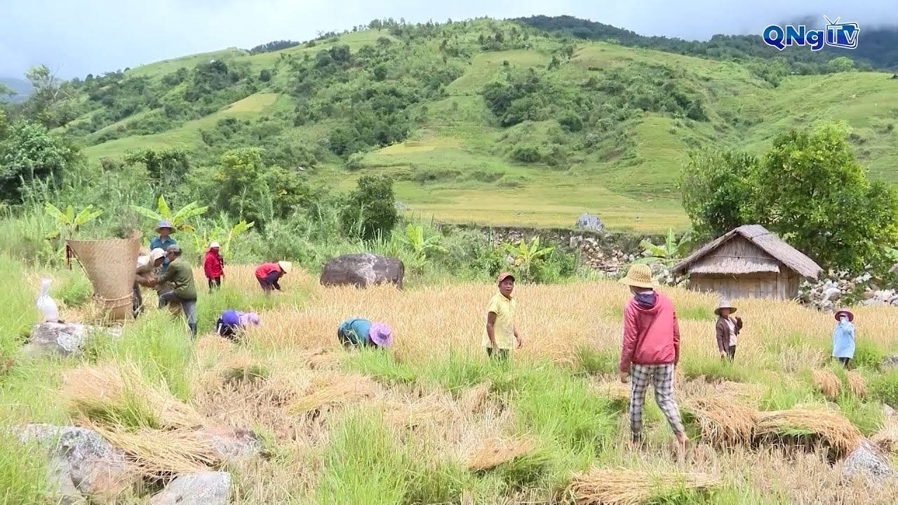 Đưa thông tin kết nối người nghèo