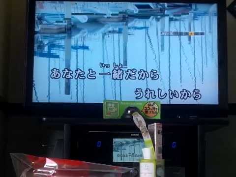 歌ってみました-summer sunset-