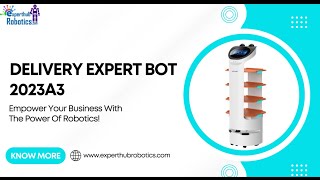 Robot In Action: Delivery Expert Bot 2023A3 Wealth
