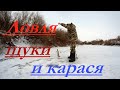 Ловля щуки и карася.Зимняя рыбалка на р. Нура  в оттепель.