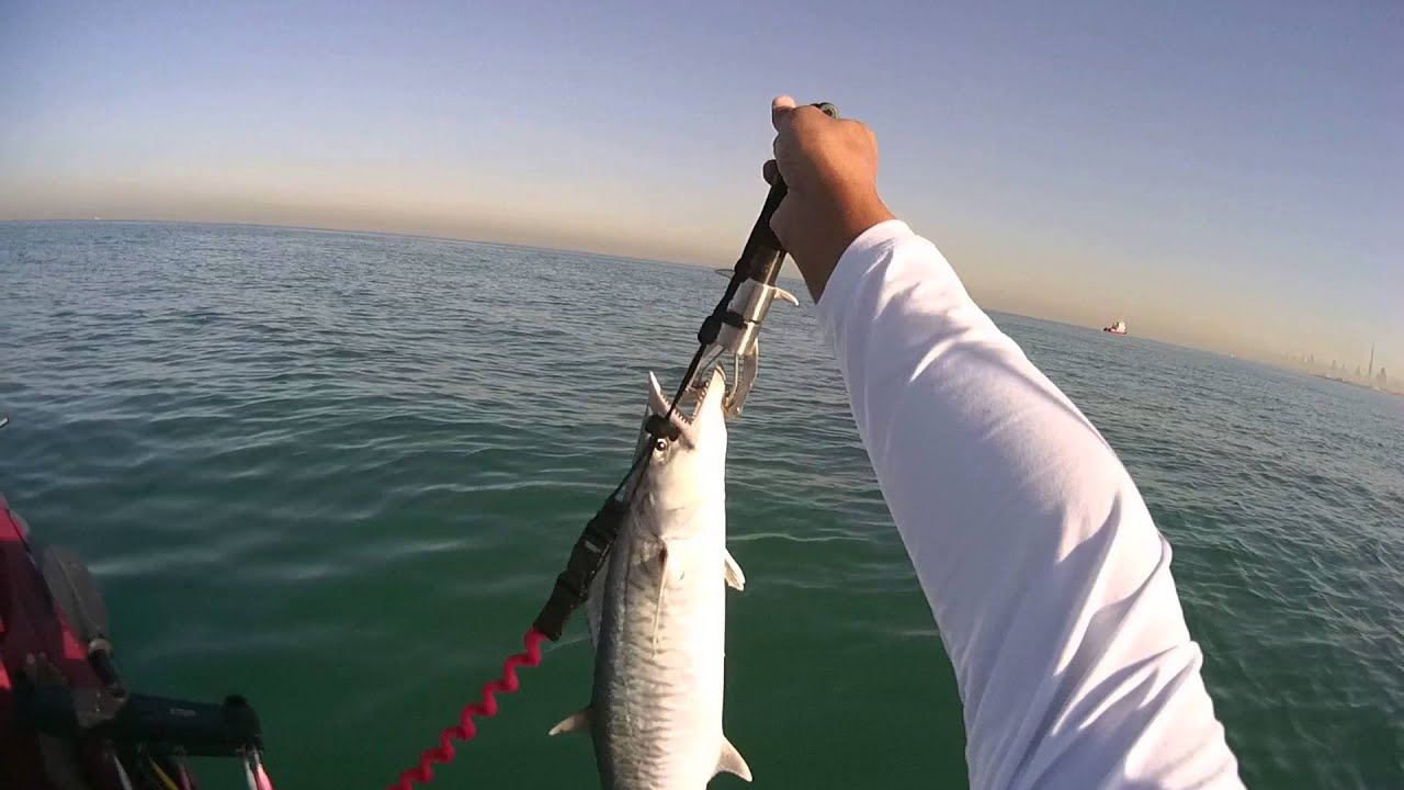 Dubai Kayak Fishing 1st Outing in Winter 2015 YouTube