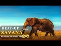 Heat Of Savana Wild Africa ह न द ड क य म ट र Wildlife Documentary In Hindi Heat Of Savana Wild Africa ह न द ड क य म ट र Wildlife Documentary In Hindi