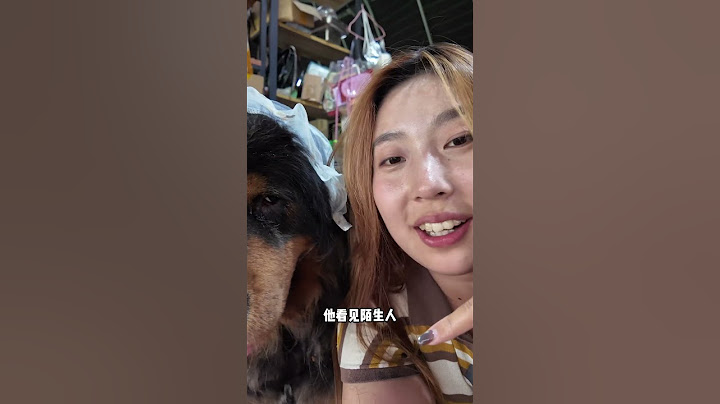 为什么不带加布出门，跟宝宝们说明下原因【藏獒加布】 #dog #pets #加布 #萌宠 #藏獒 #宠物 #狗狗 #可爱 #shorts