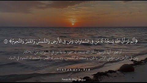 ﴿أَلَم تَرَ أَنَّ اللَّهَ يَسجُدُ لَهُ مَن فِي السَّماواتِ وَمَن فِي الأَرضِ﴾ | سورة : الحج
