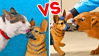 CAT vs DOG || Funny Pet Pranks And Hacks