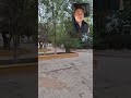 Sabias que?