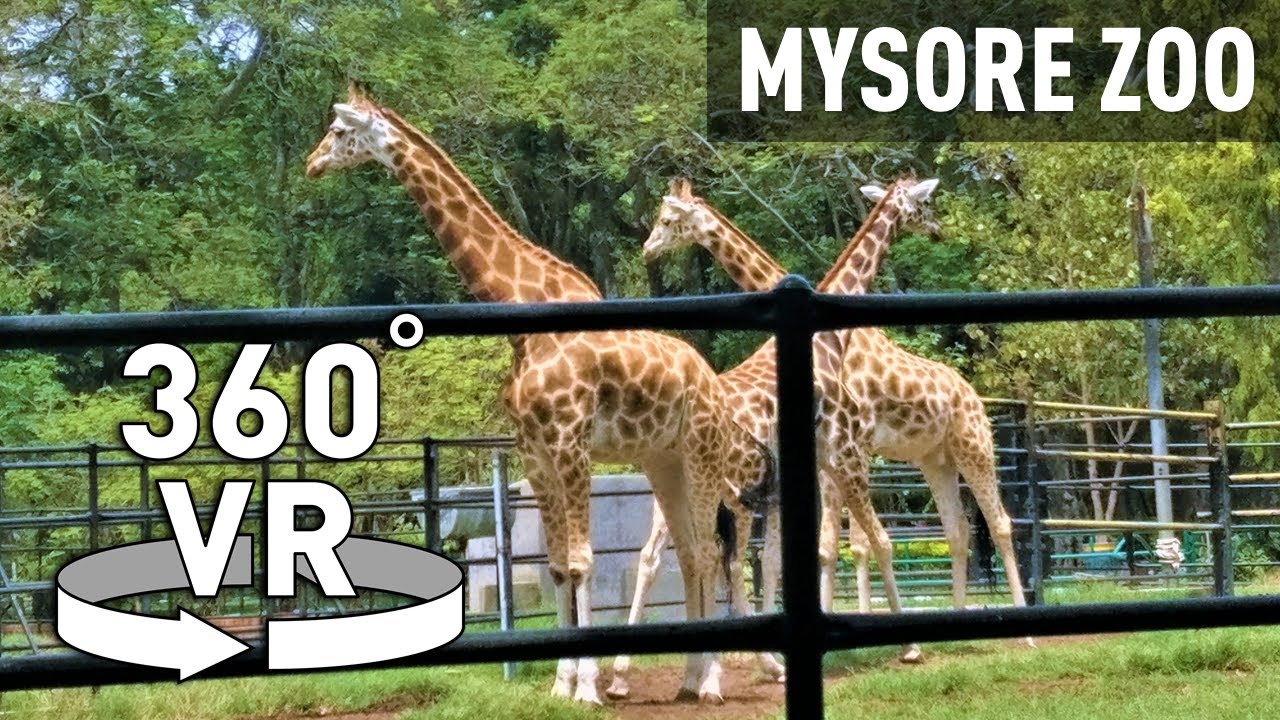 mysore zoo virtual tour