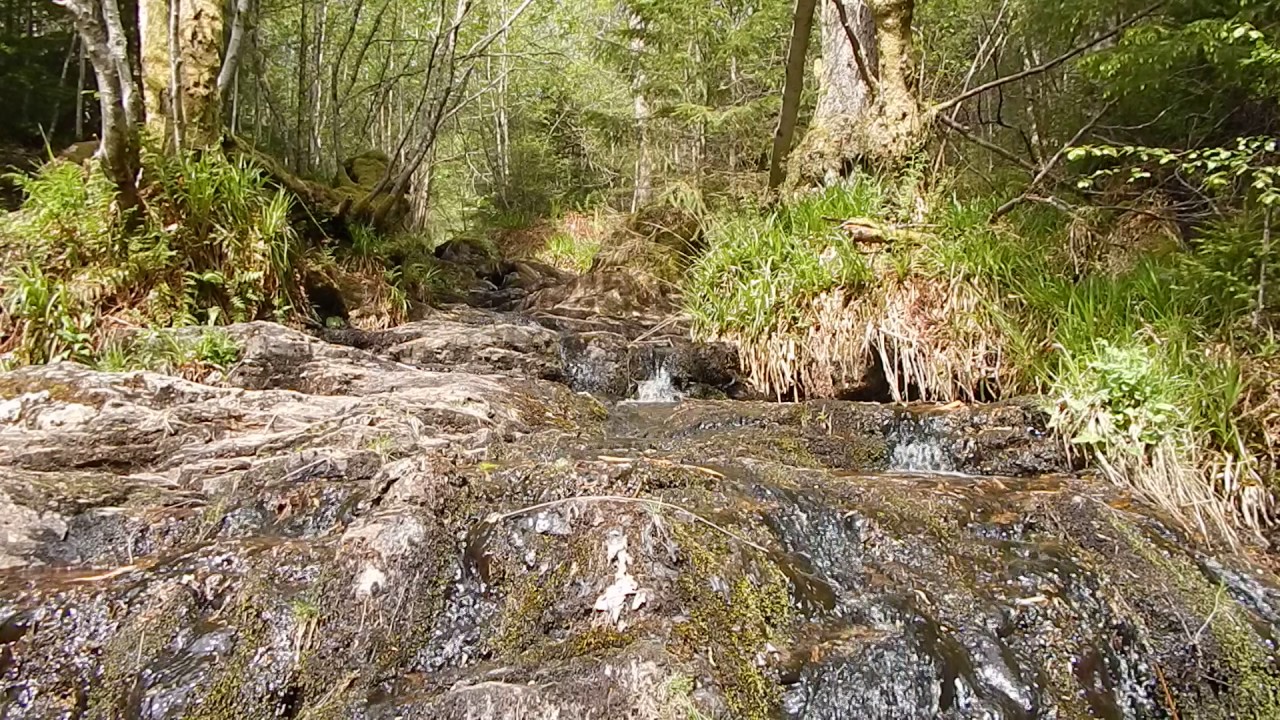 Waterfall in the Craigvinean Forest