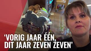Thumbnail for Hulporganisatie ziet meer dakloze moeders met kinderen