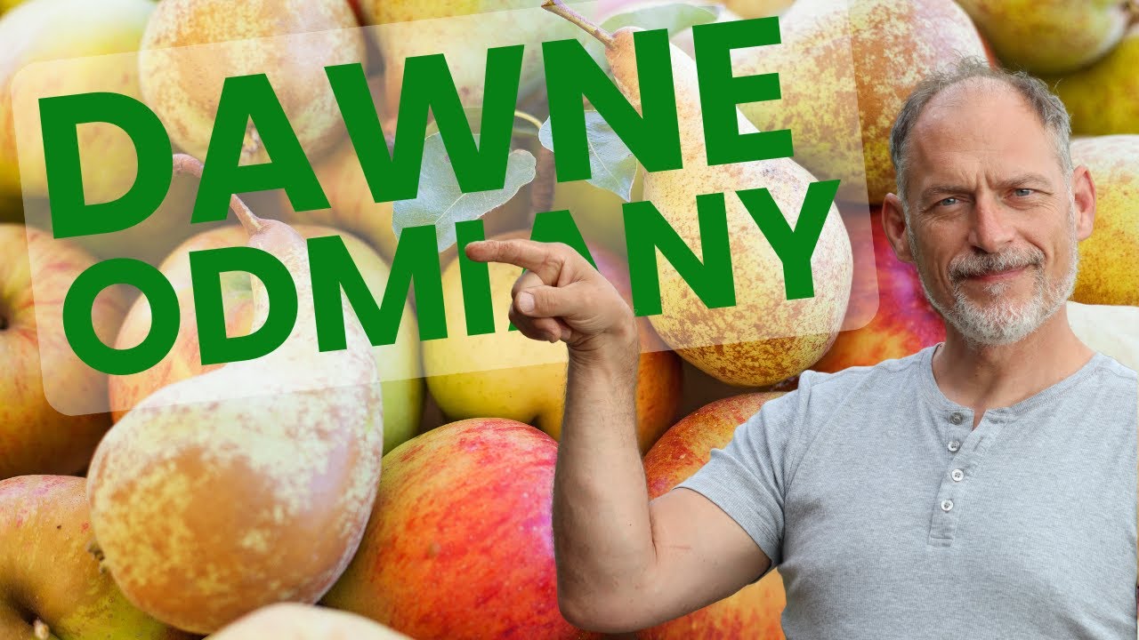 🍎 Odwiedzam sadownika DAWNYCH ODMIAN  🍐 (POSADŹ u siebie)