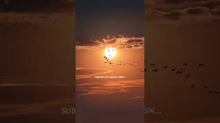 Maine tujhe dekha👀❤️‍🩹||Ali Zafar | Jhoom (R&amp;B mix) [ Slowed &amp; Reverb ] -Lyrical Video ||