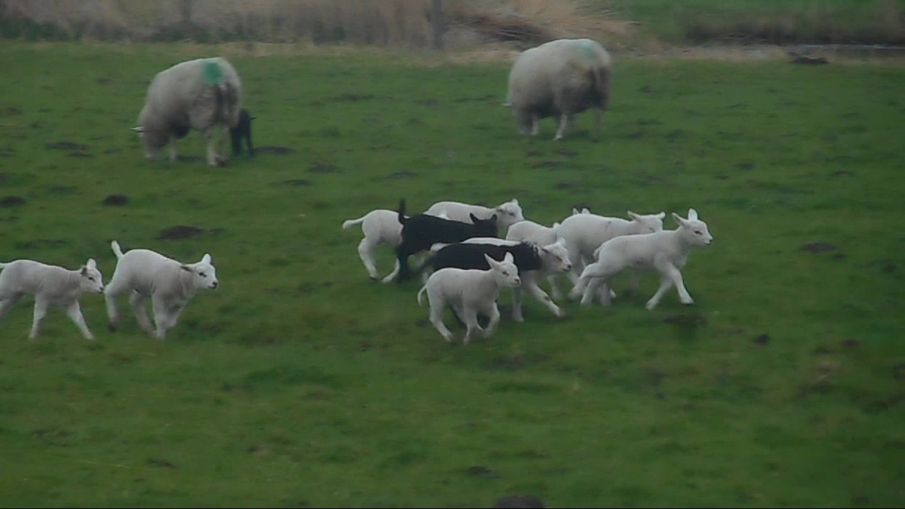 Een nieuwe lente en een nieuw