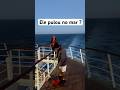 Ele pulou no mar ?