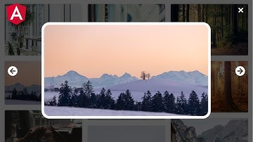 Create an Image Gallery with Lightbox from Scratch in Angular