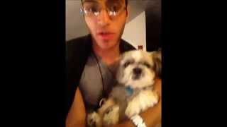 My Dogs Talk To Me... Im Not Crazy!