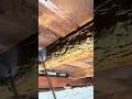 Woodworm treatment of the roof structure (Part 1) #woodworm #renovation #asmr #satisfying #diy