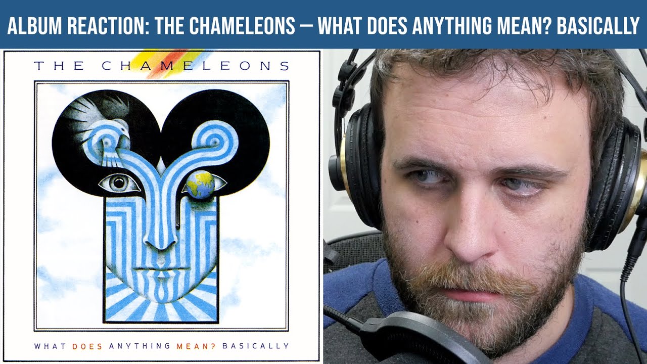 ALBUM REACTION The Chameleons What Does Anything Mean Basically ALBUM REACTION The Chameleons What Does Anything Mean Basically