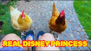 AM I A REAL DISNEY PRINCESS?! Chickens and zebra doves FLOCK to me... omg lol