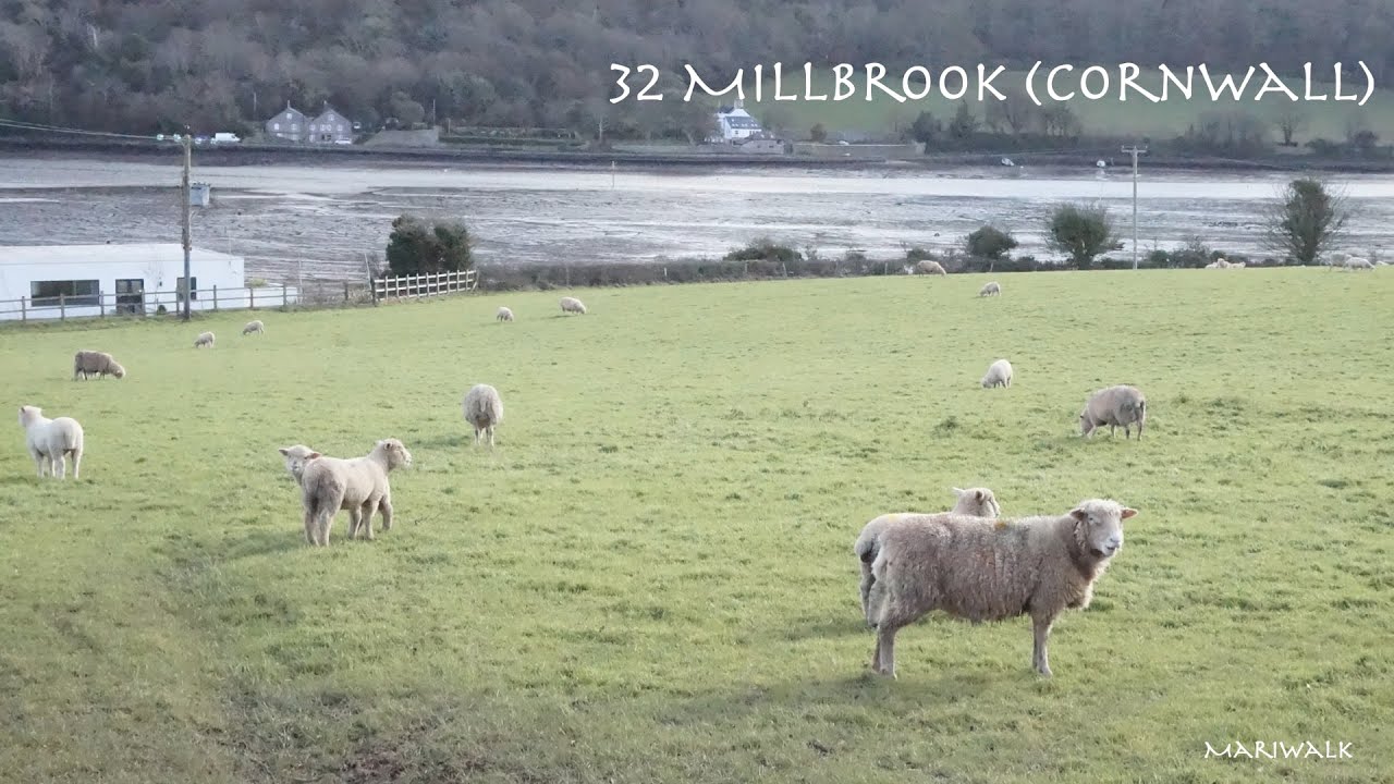 32 Millbrook 🇬🇧(Cornwall) | ミルブルック (コーンウォール) | イギリスまちあるき