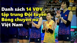 Danh sách 14 VĐV tập trung Đội tuyển Bóng chuyền nữ Việt Nam #kienthucx