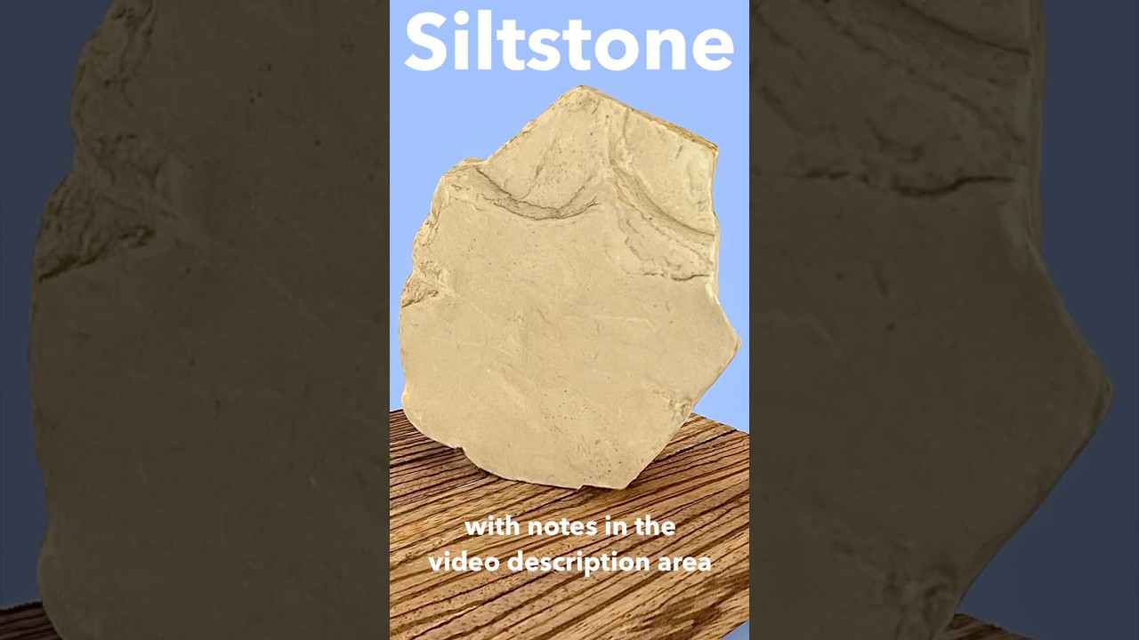 Обнаружена осадочная алевролитовая порода - примечания находятся в области описания видео.