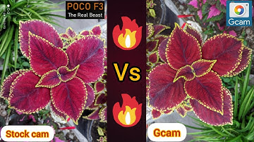 POCO F3 GCAM INSTALLATION AND SAMPLE SHOTS vs POCO F3 STOCK CAMERA 🔥🔥🔥