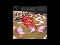 Throat Breach - Wormed (Full Album)