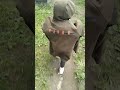 szpon