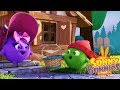 Videos For Kids | SUNNY BUNNIES - LITTLE RED RIDING HOOD | Funny Videos For Kids